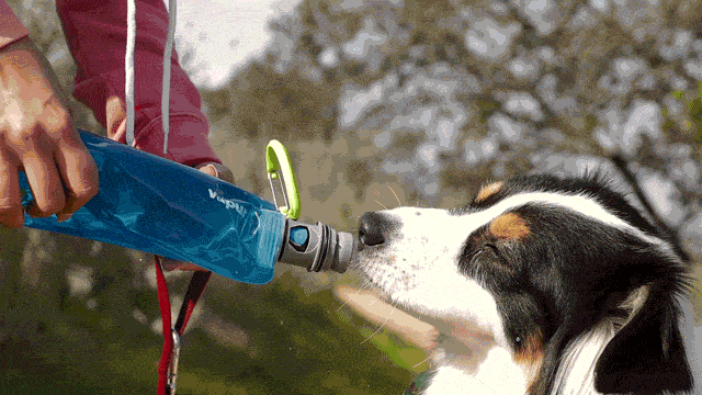 K9 Sport Sack - Vapur® EZ Lick™ Portable Dog Water Bottle: Whiteout